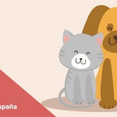 DNI obligatorio para perros y gatos a fin de erradicar el abandono animal en España