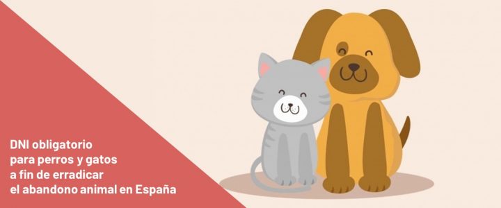 DNI obligatorio para perros y gatos a fin de erradicar el abandono animal en España